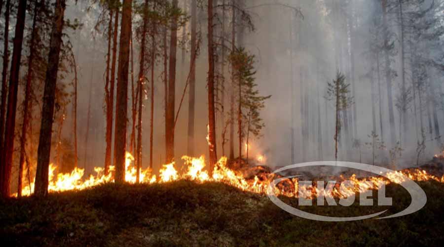 Hangi Yangınlarda Su Kullanılmaz? - Eksel Yangın Hangi Yangınlarda Su Kullanılmaz? - Eksel Yangın